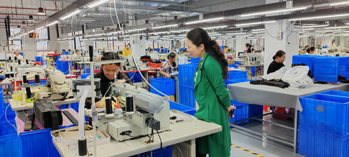 藍(lán)山委員提案助推產(chǎn)業(yè)大發(fā)展，央廣網(wǎng)聚焦社會經(jīng)濟(jì)咨詢服務(wù)